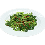 icon-cover_042_杞子苋菜